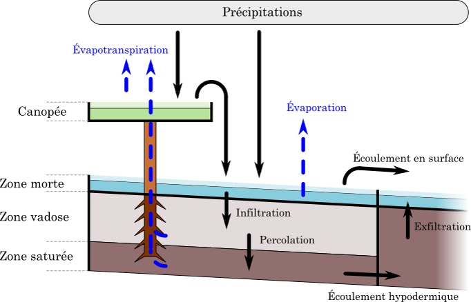 modèle des bassins versants ruraux